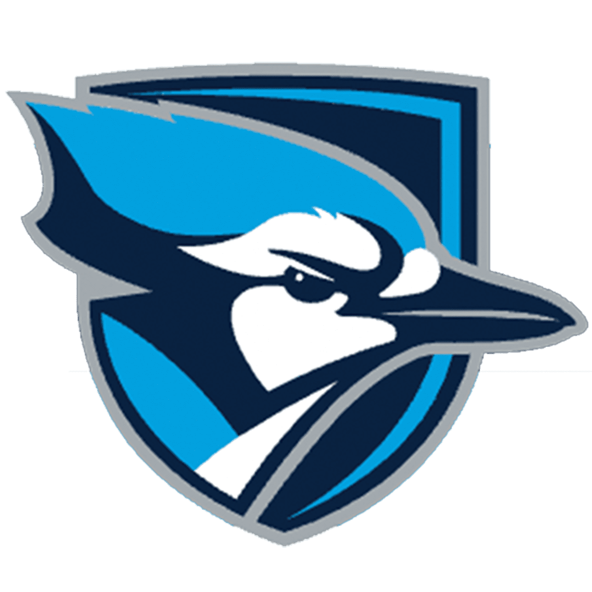 placeholder-image