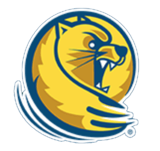 placeholder-image