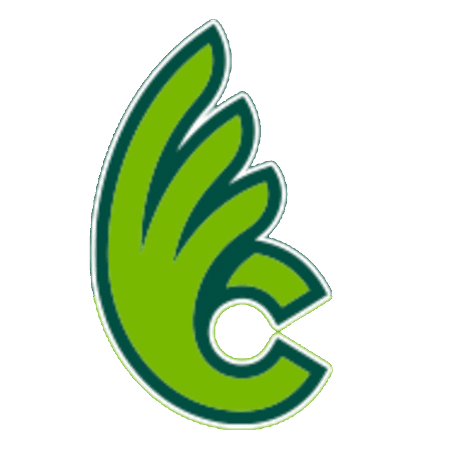 placeholder-image