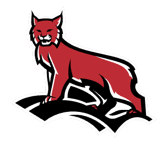 placeholder-image