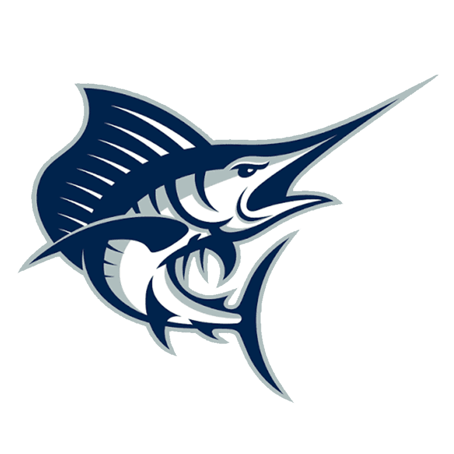 placeholder-image